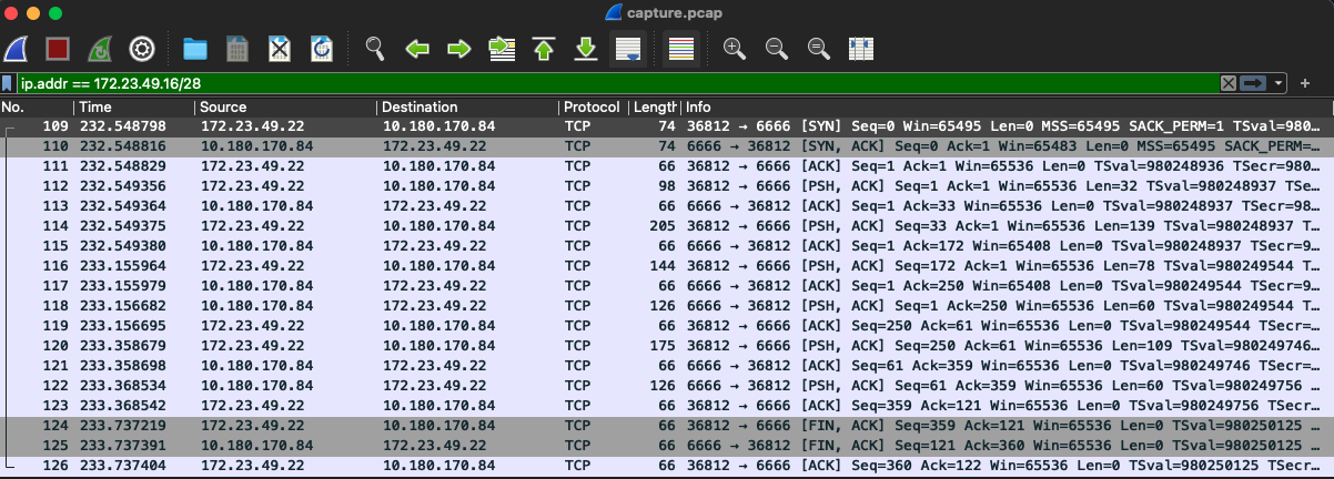 Wireshark